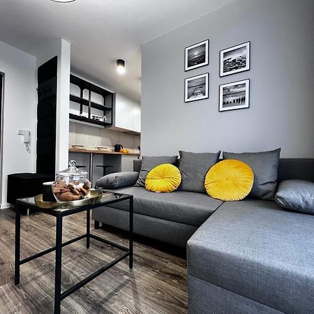 Apartamenty House Profit Kosciuszki 28Vs31B Katowice Kültér fotó