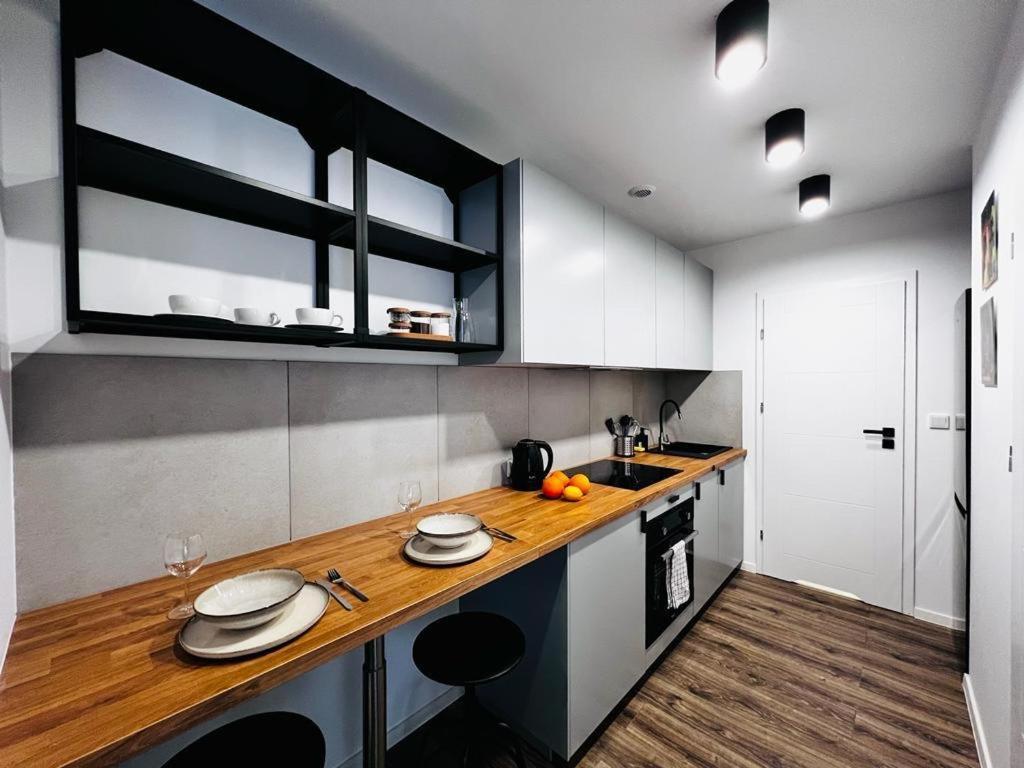 Apartamenty House Profit Kosciuszki 28Vs31B Katowice Kültér fotó