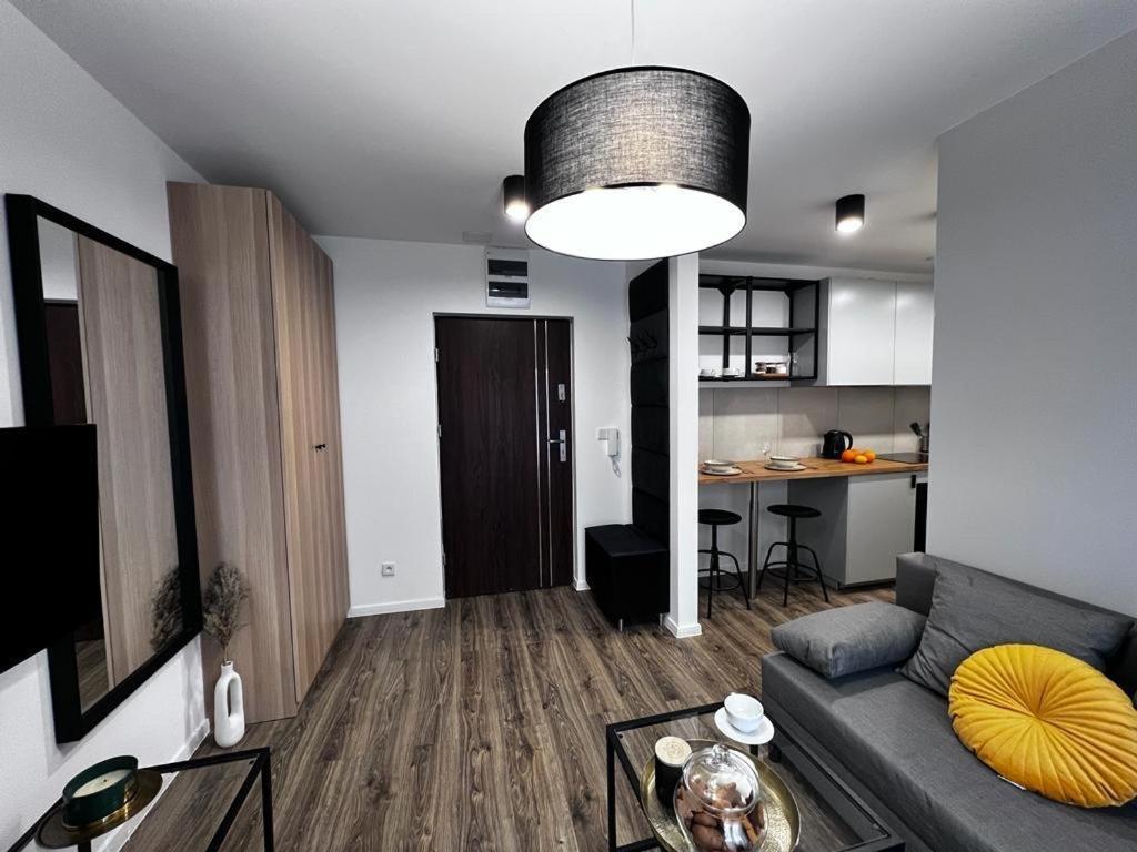 Apartamenty House Profit Kosciuszki 28Vs31B Katowice Kültér fotó