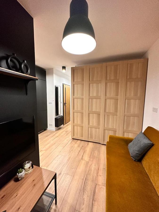 Apartamenty House Profit Kosciuszki 28Vs31B Katowice Kültér fotó
