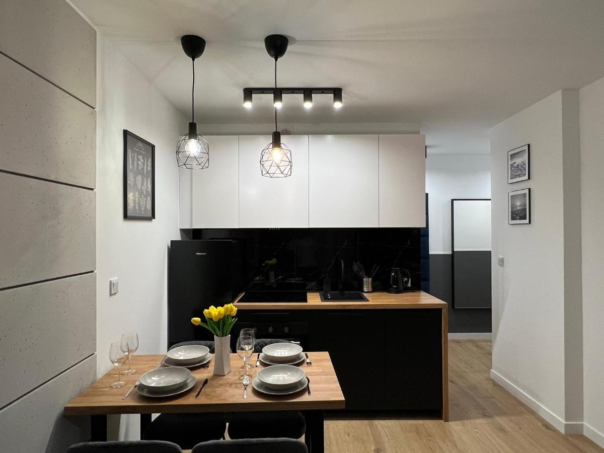 Apartamenty House Profit Kosciuszki 28Vs31B Katowice Kültér fotó