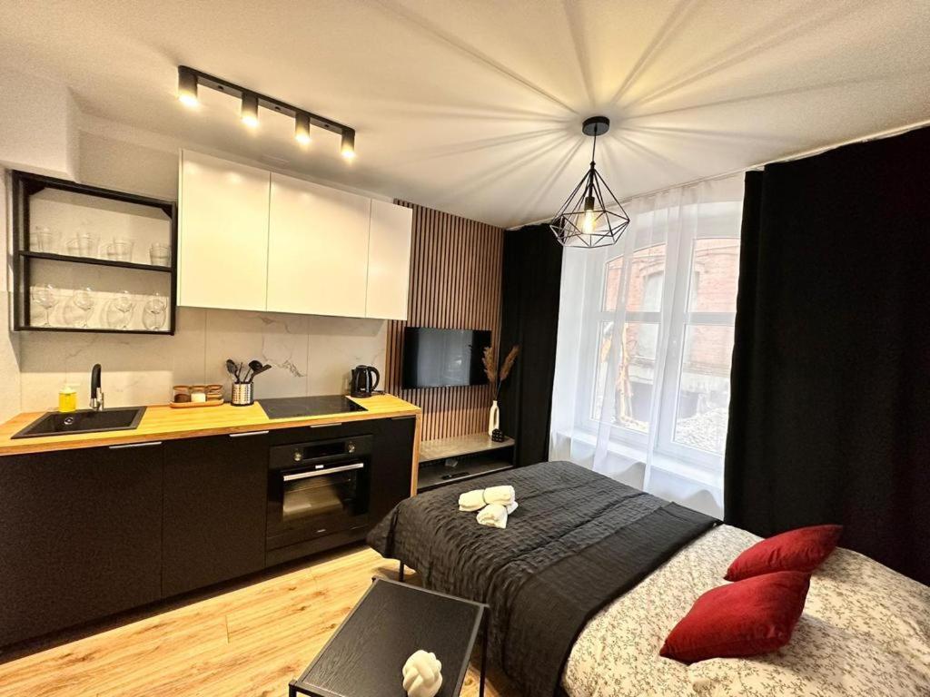 Apartamenty House Profit Kosciuszki 28Vs31B Katowice Kültér fotó